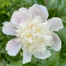 Mirnij (Мирный)
