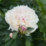 Pamyati Gagarina (Памяти Гагарина)